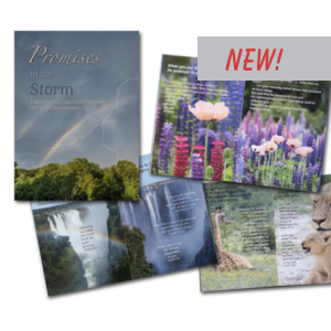 Promises in the Storm