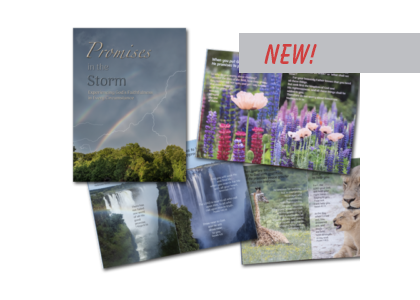 Promises in the Storm